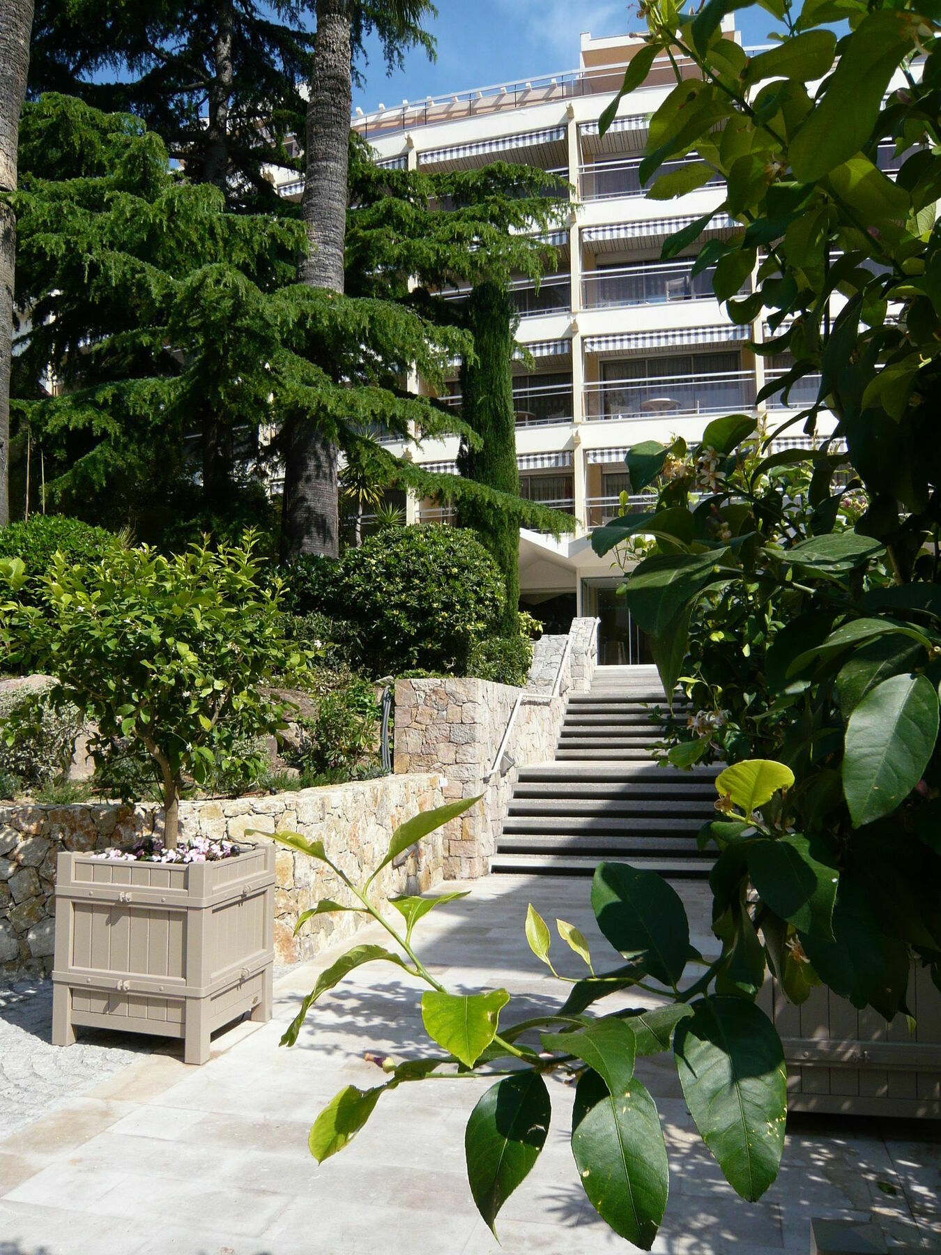 Le Miradou * Cannes